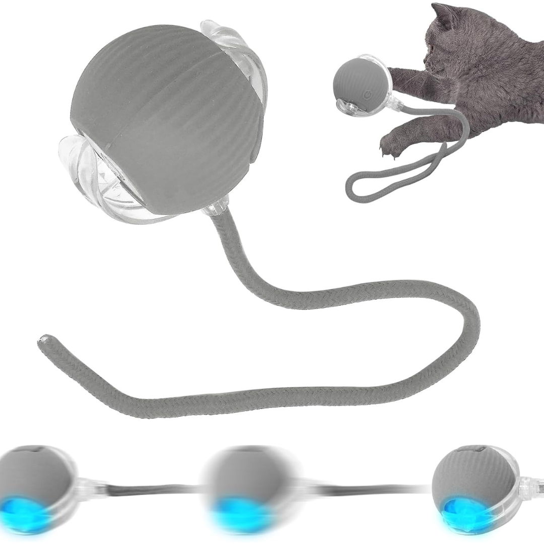 Rechargeable Smart Pet Ball