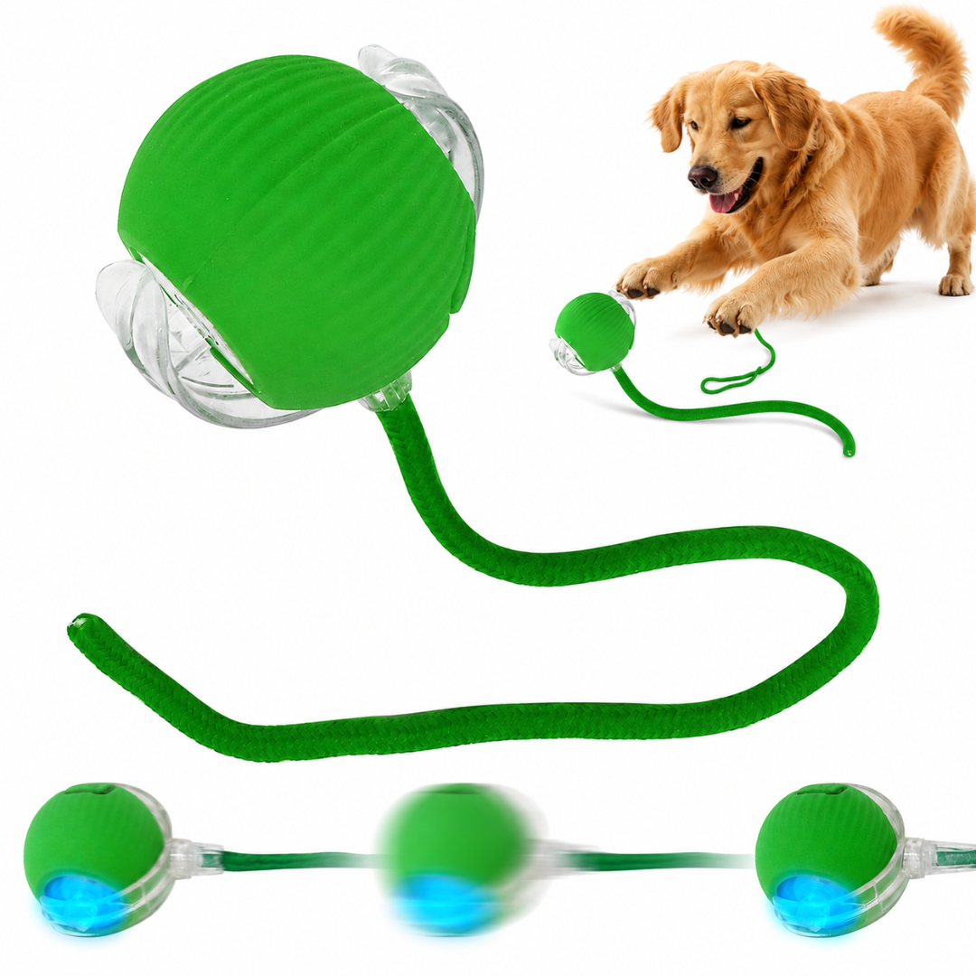 Rechargeable Smart Pet Ball