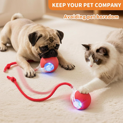 Rechargeable Smart Pet Ball