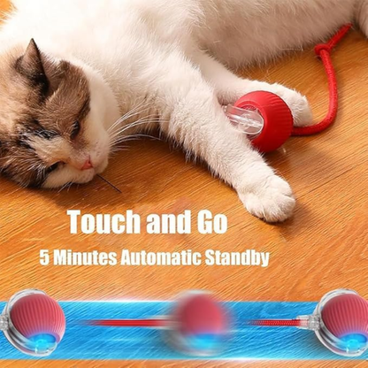 Rechargeable Smart Pet Ball